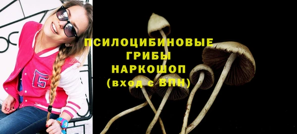 героин Алзамай