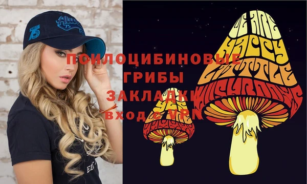 экстази Алексин