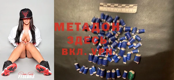 индика Абаза